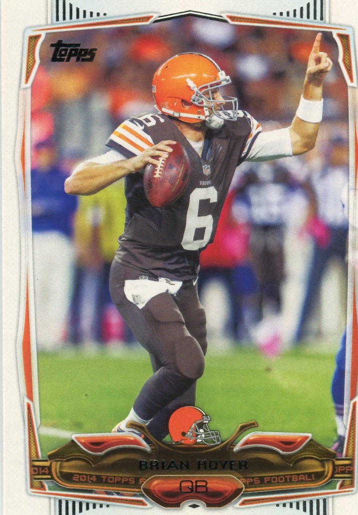 Brian Hoyer